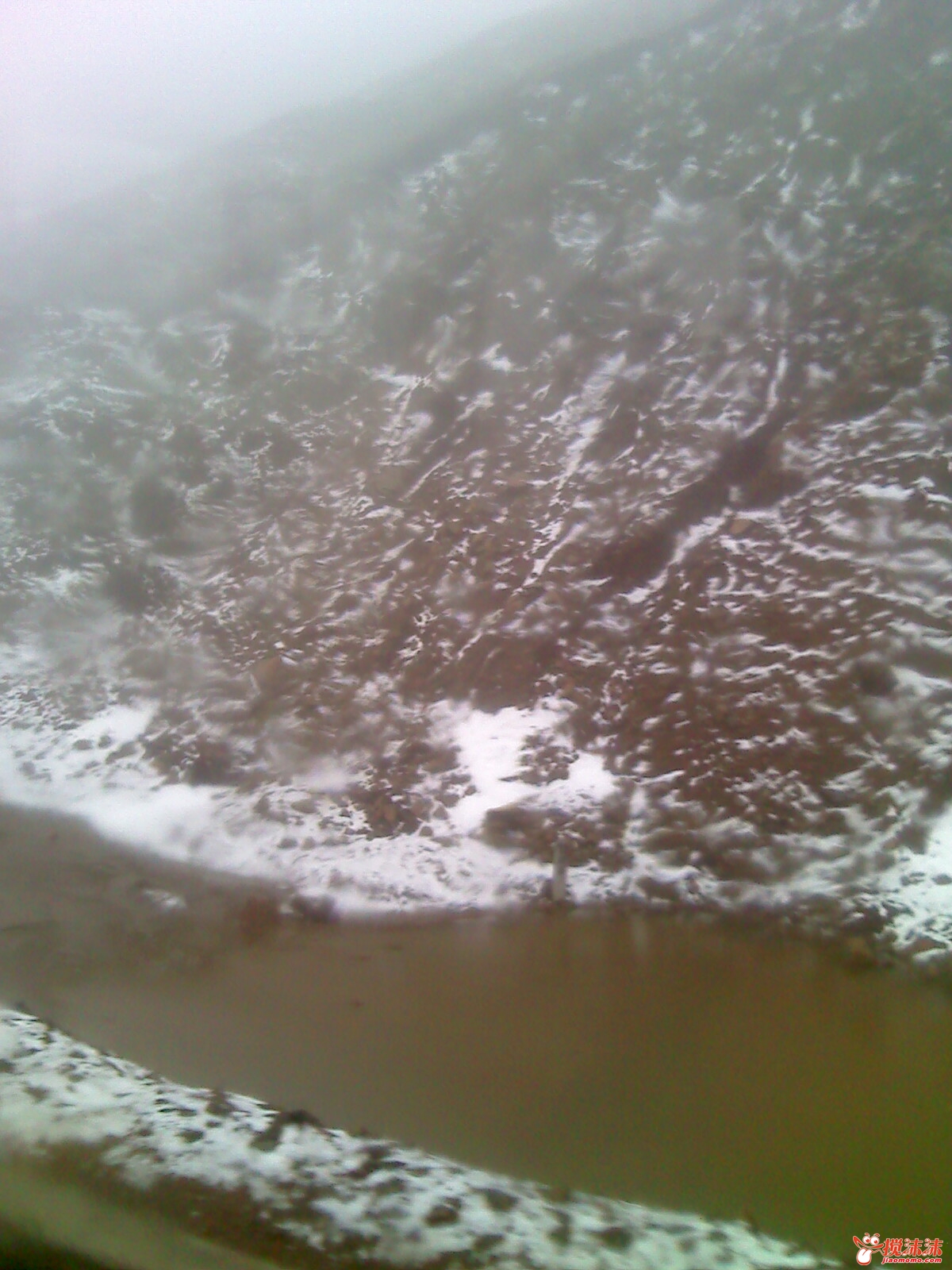 moto_0861.jpg