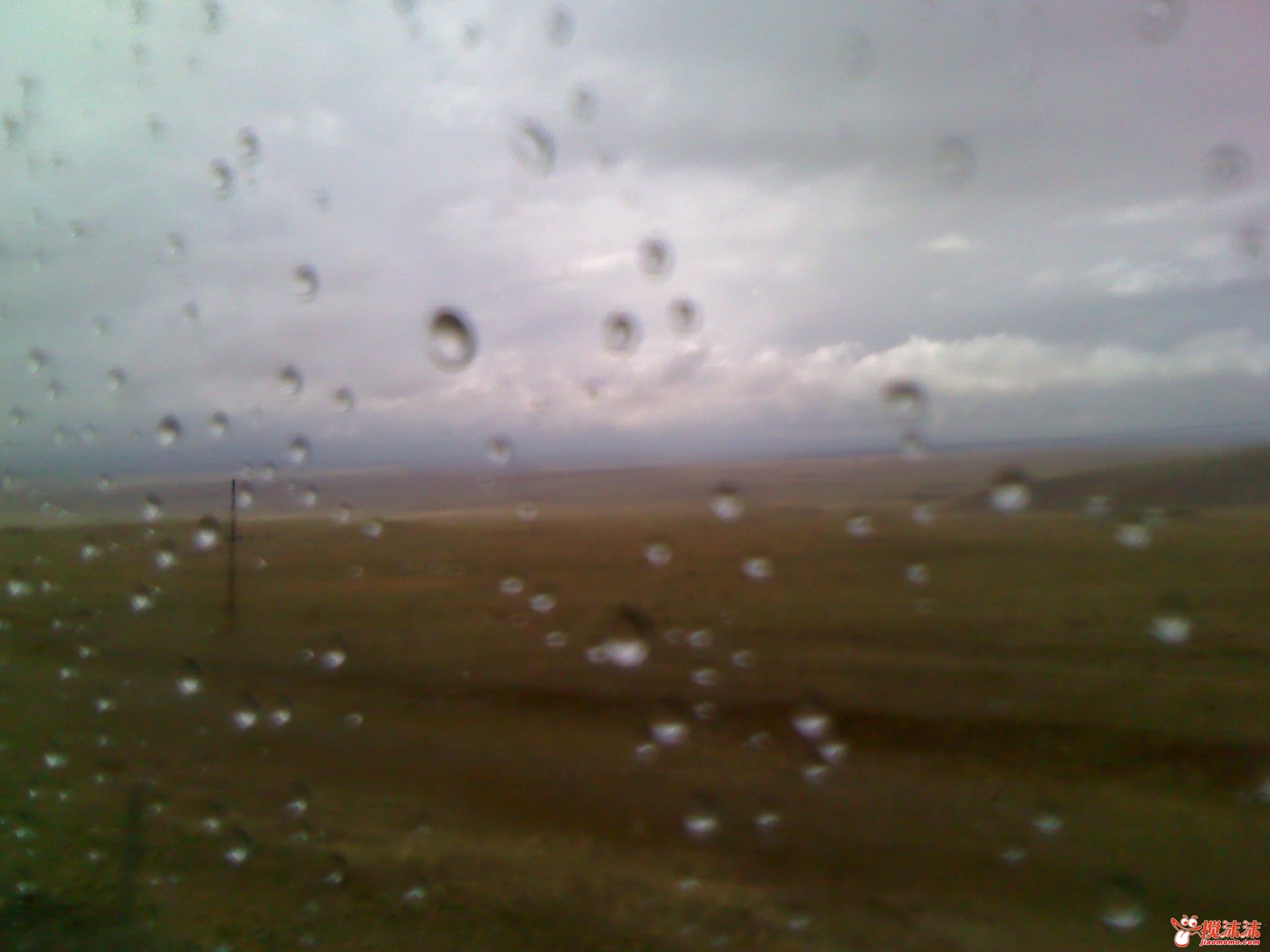 moto_0879.jpg