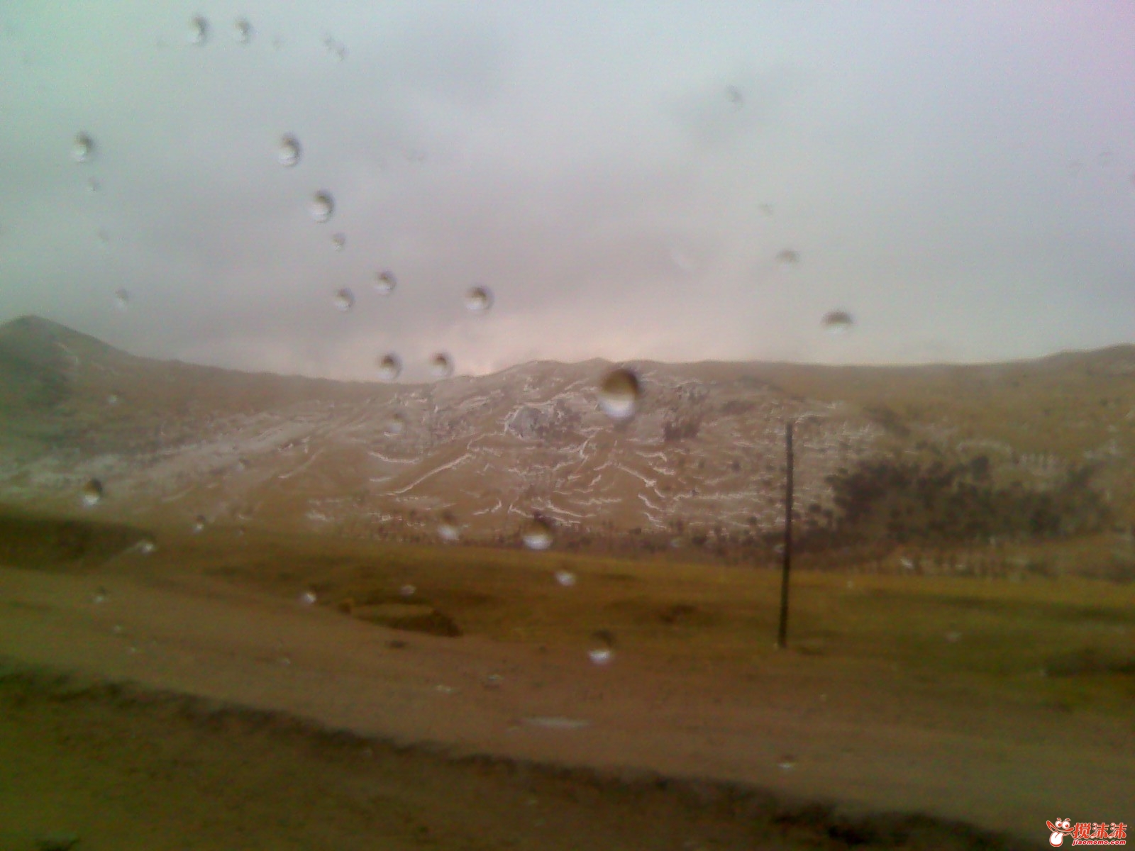moto_0865.jpg