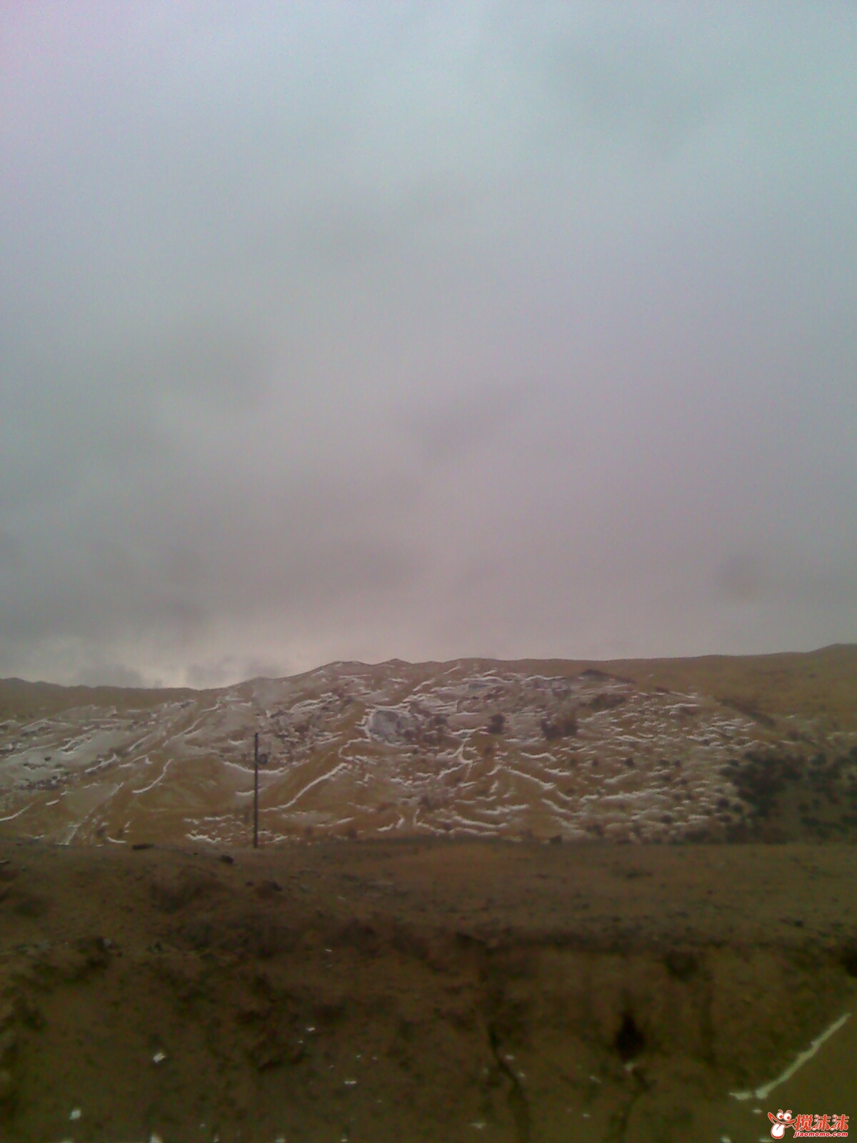 moto_0866.jpg