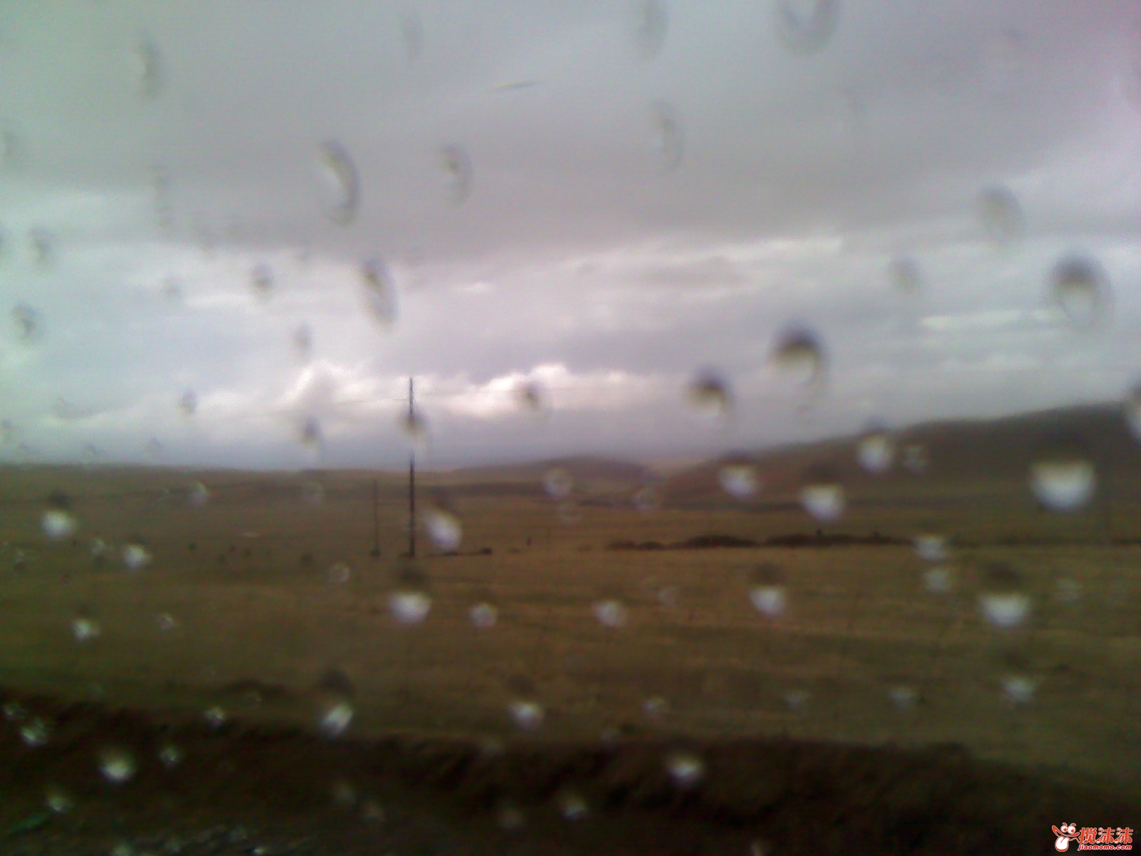 moto_0878.jpg