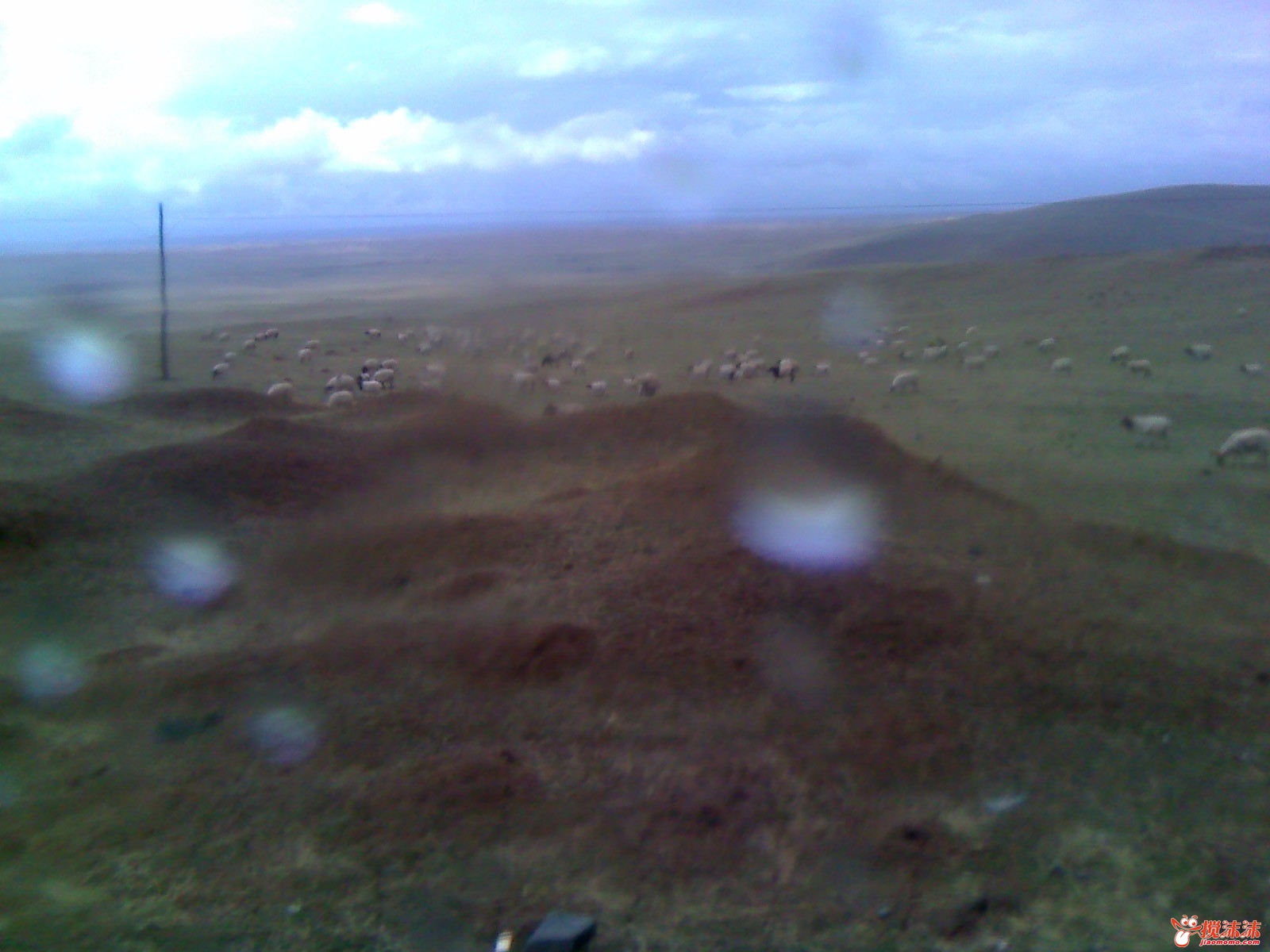 moto_0880.jpg