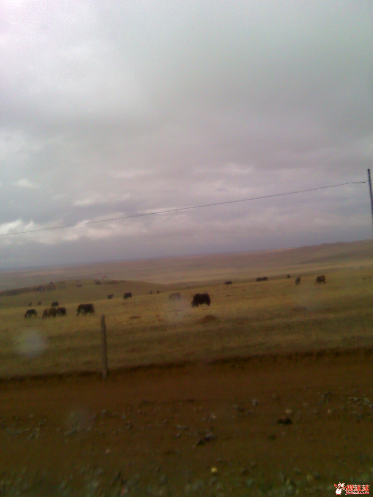 moto_0882.jpg
