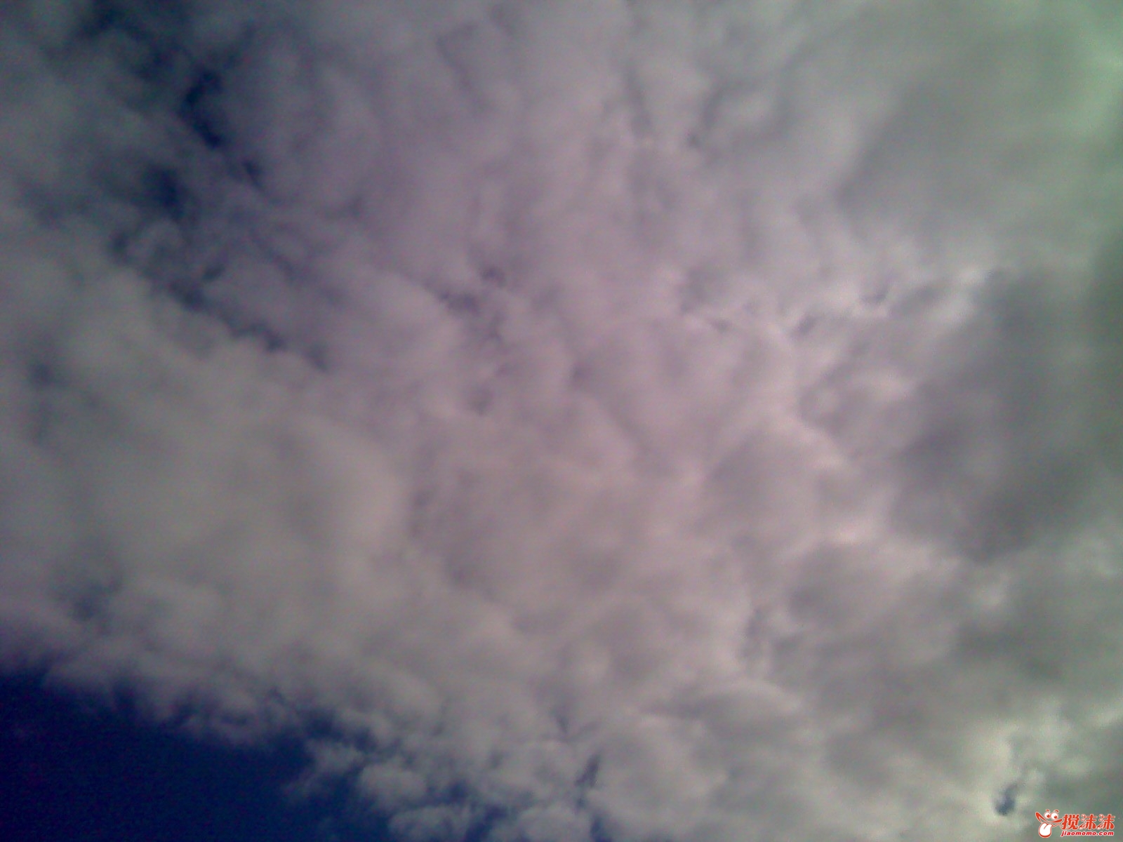 moto_0894.jpg