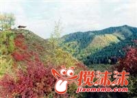 ƽ��ϿȺ�¾��� (�Զ���).jpg