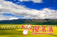 �����Ͳ˻������� (�Զ���).jpg