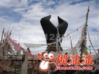 ���ƺ�Դ������ (�Զ���).jpg