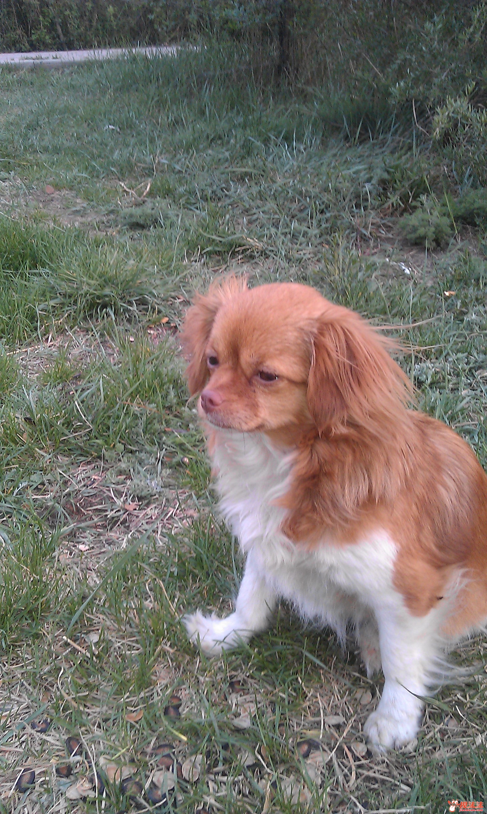 IMAG0413.jpg