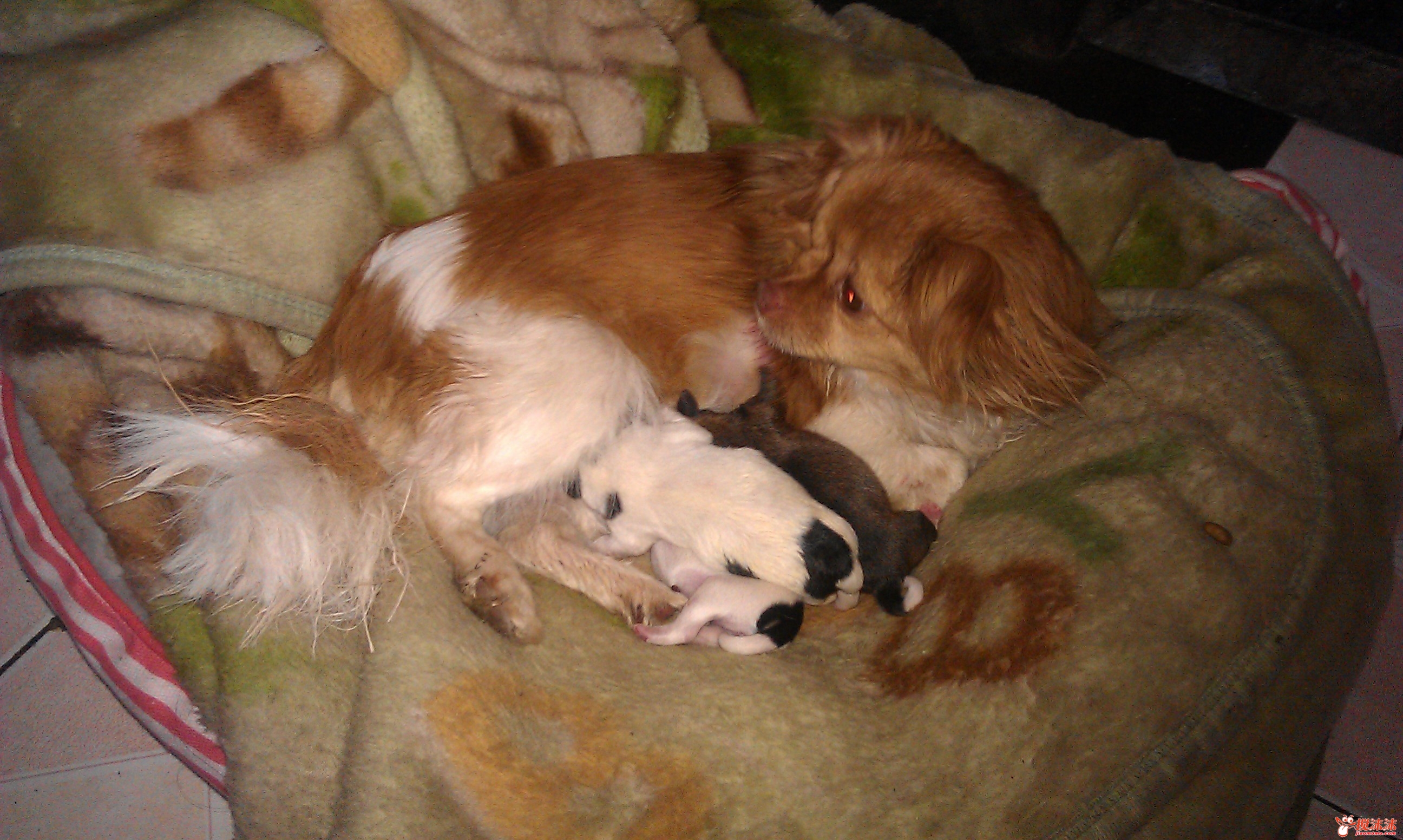 IMAG0421.jpg