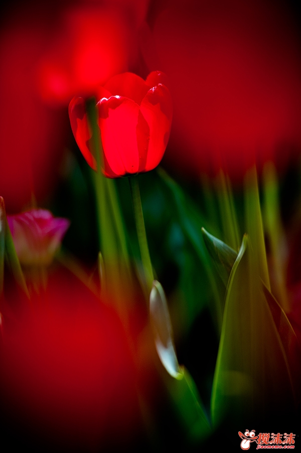 DSC_5708.jpg