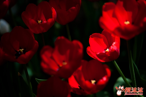 DSC_5721.jpg