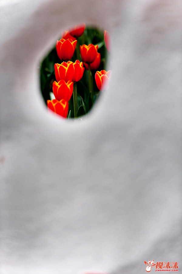 DSC_5730.jpg