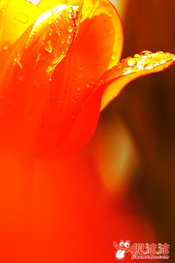 DSC_5744.jpg