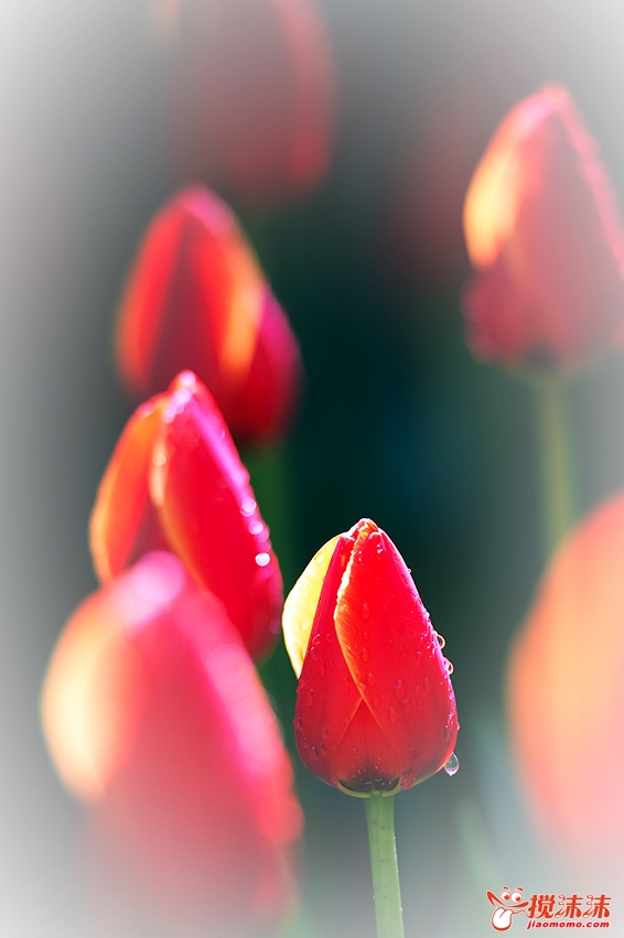 DSC_5751.jpg