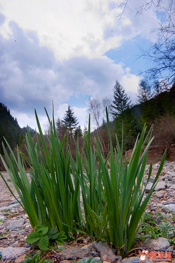 DSC_5797.jpg