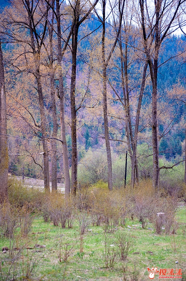 DSC_5808.jpg