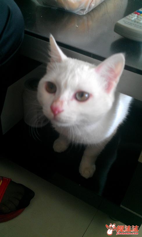 IMAG0026.jpg