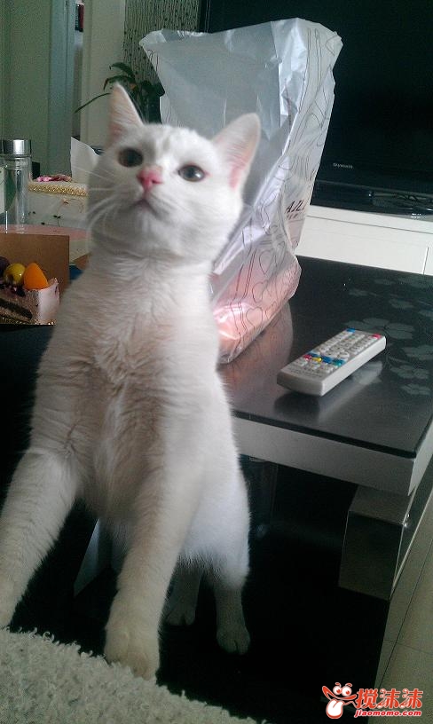 IMAG0027.jpg