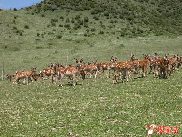 С DSCN0024.JPG