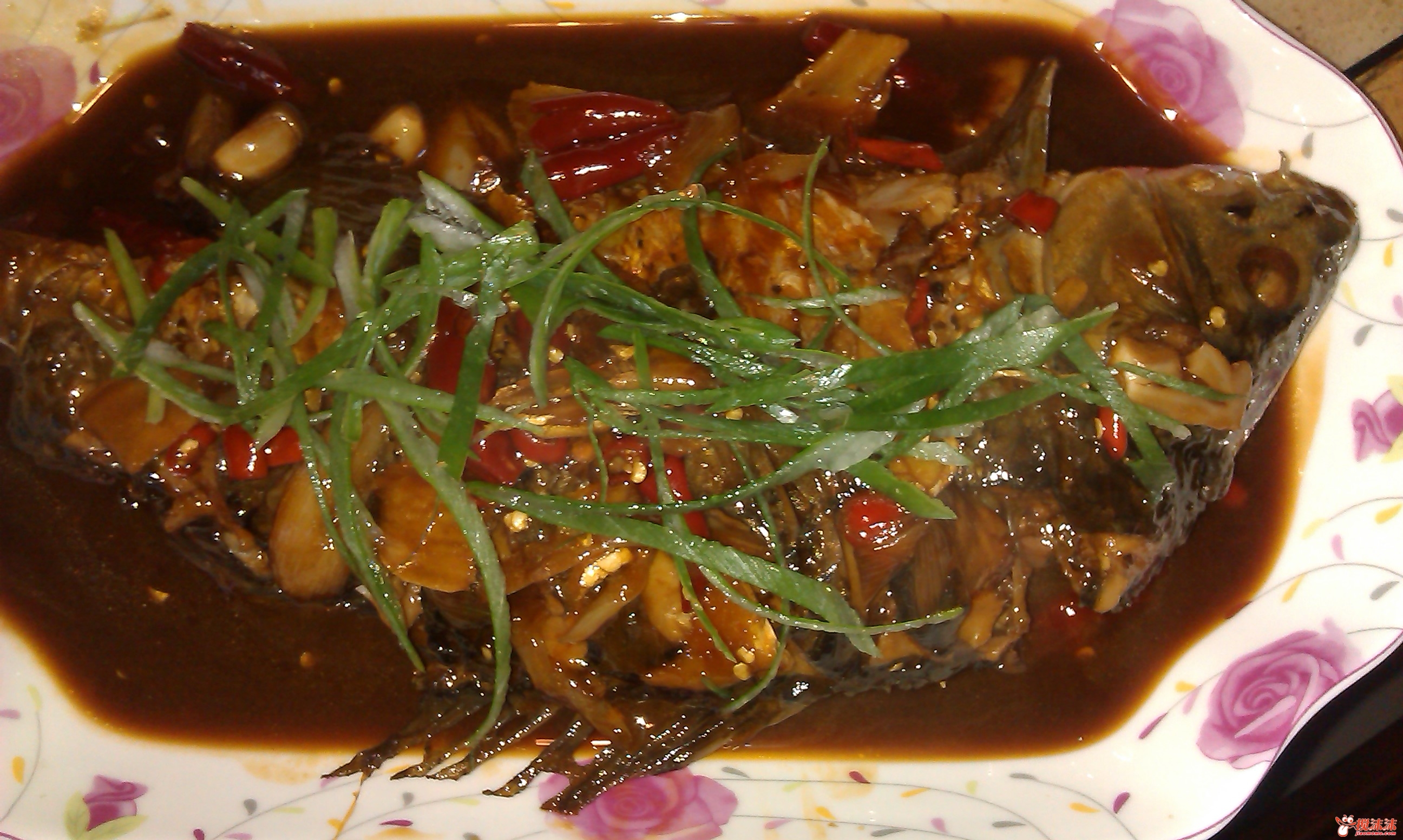 IMAG0106.jpg