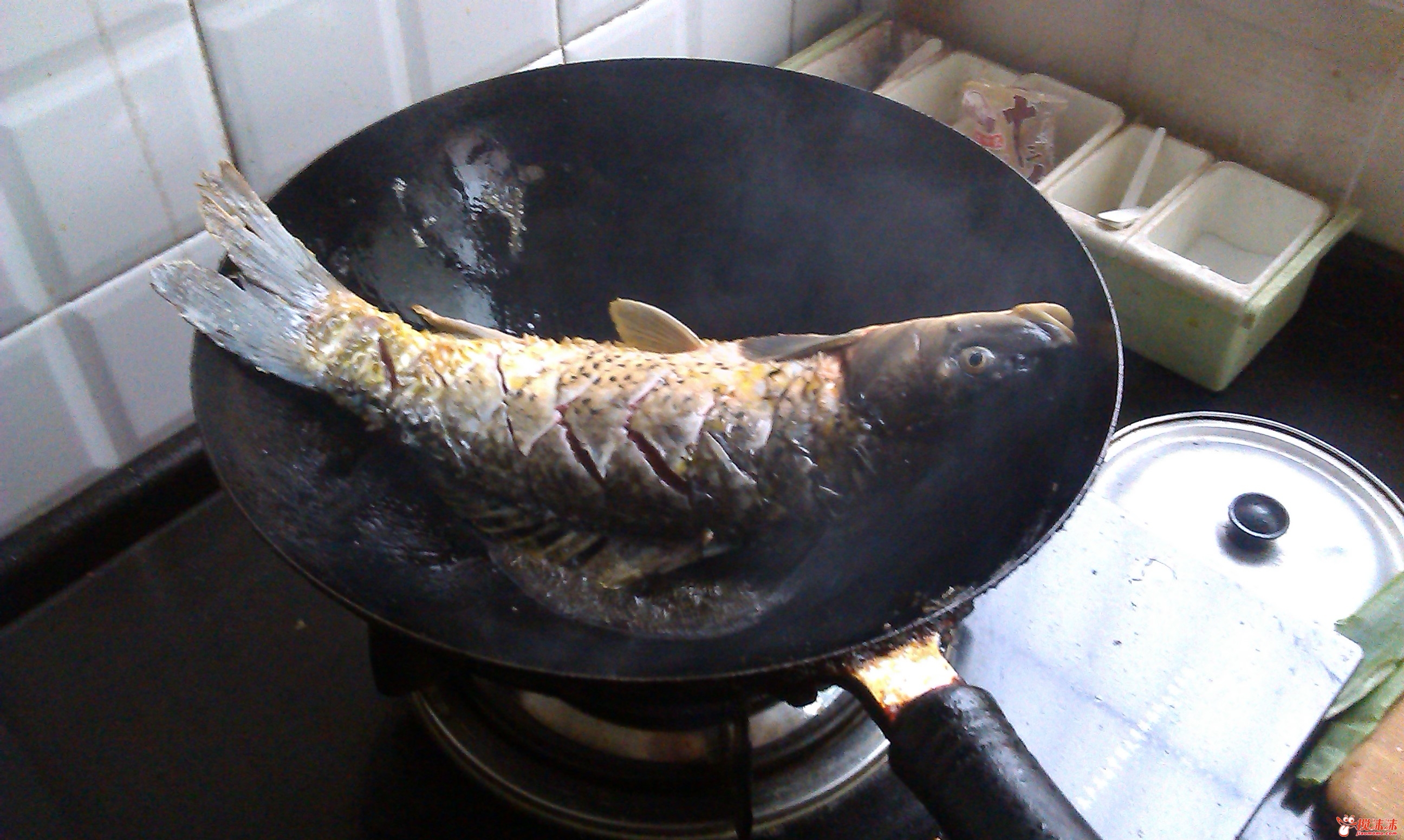IMAG0103.jpg