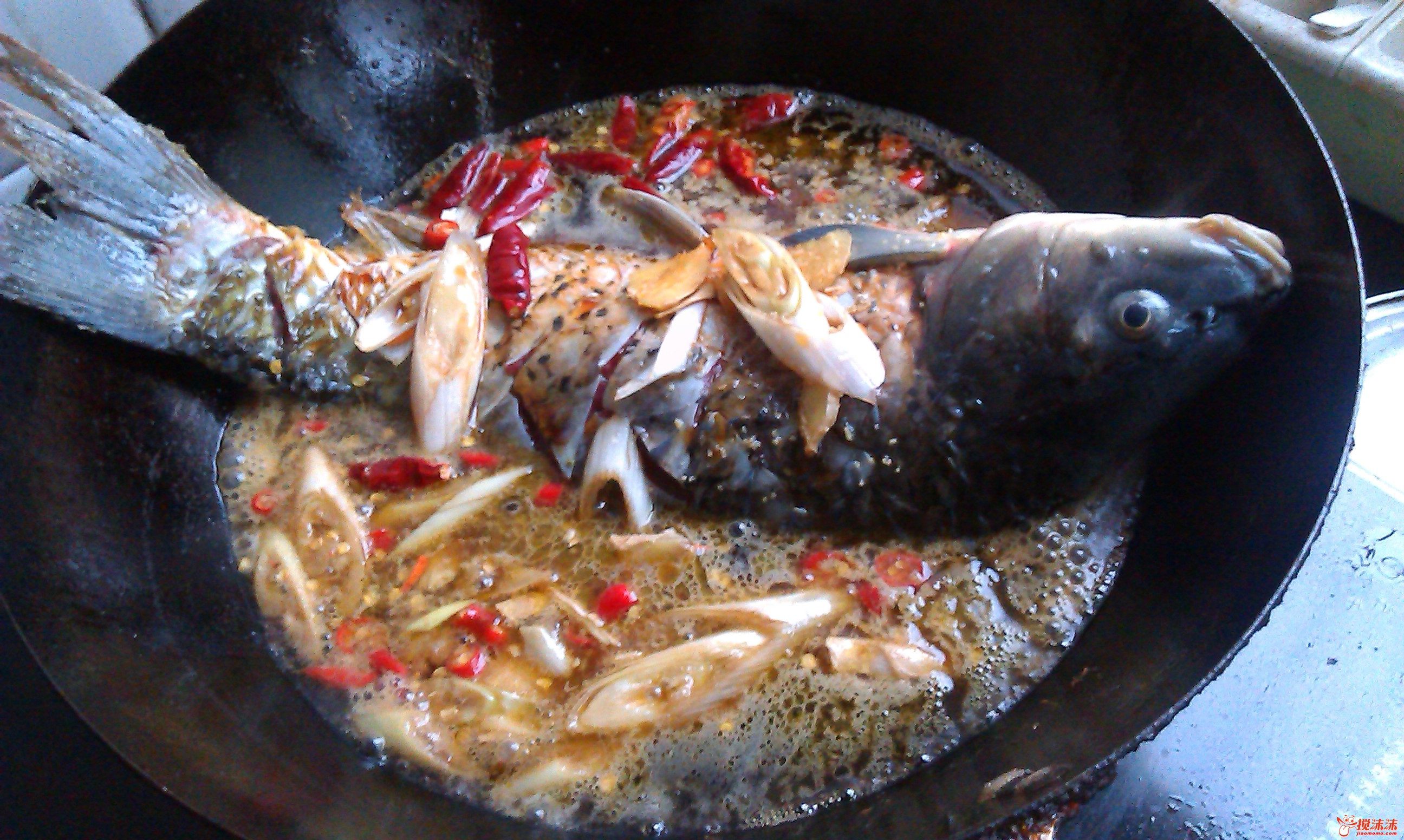 IMAG0104.jpg
