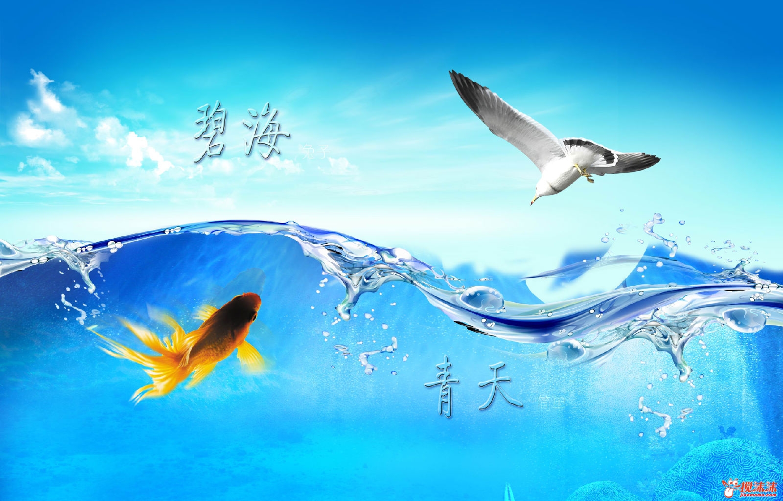 a6a766c1528fb41ab219a8c6.jpg