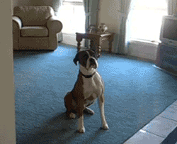 ҮԳȥˣ˵ô.gif