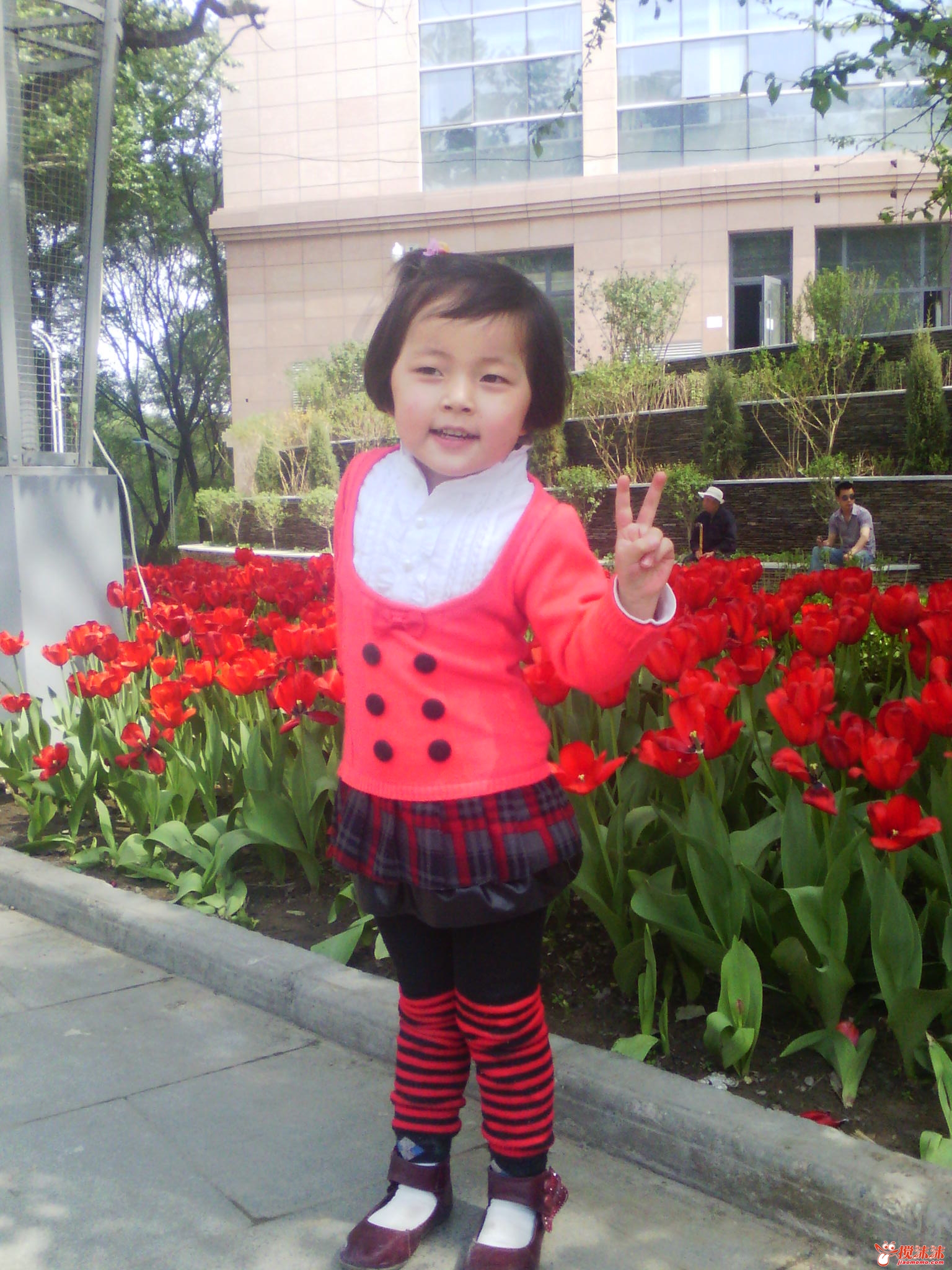 IMG_20120520_152539.jpg