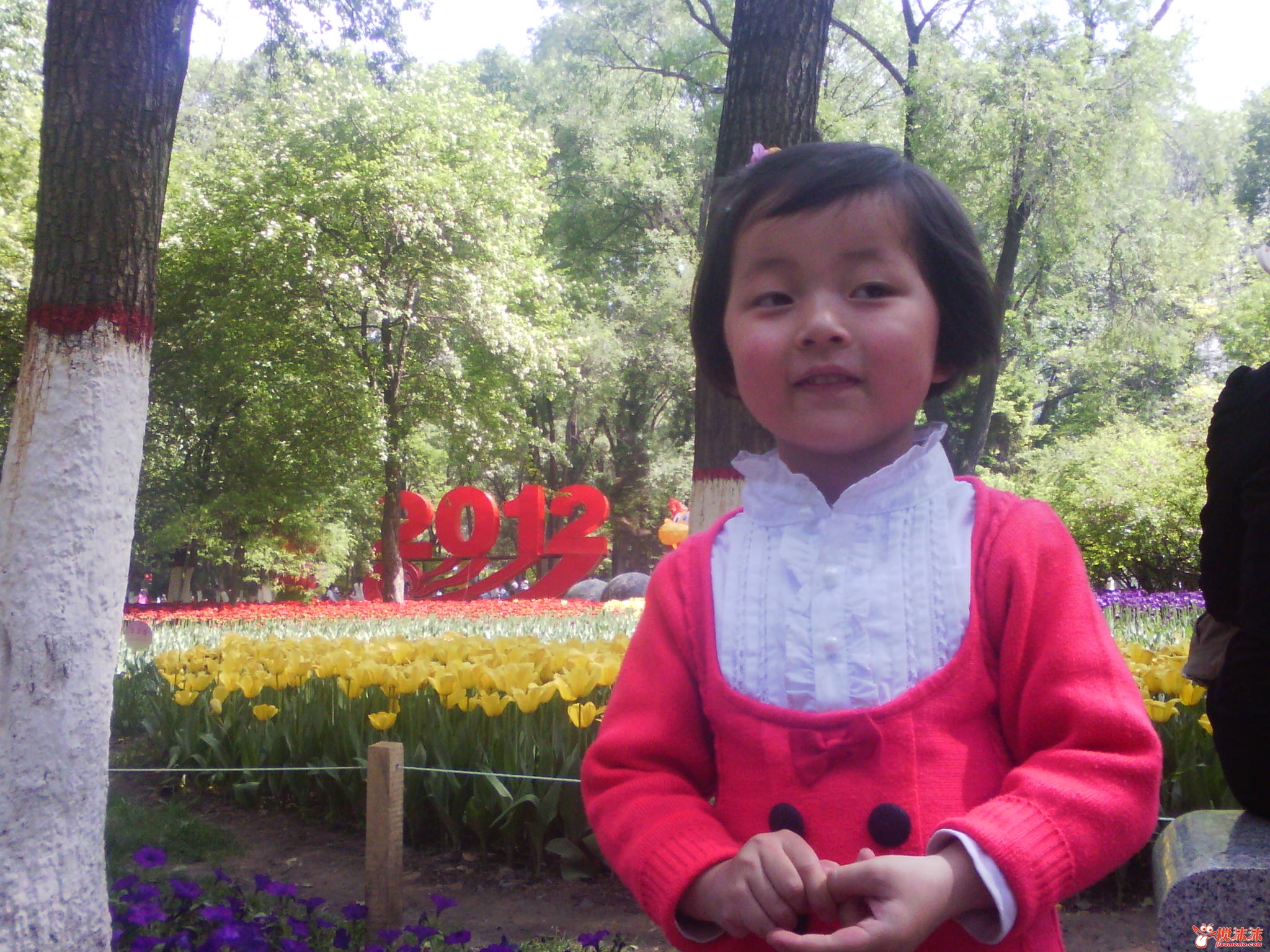 IMG_20120520_153139.jpg