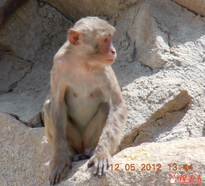 ʲôأ.jpg