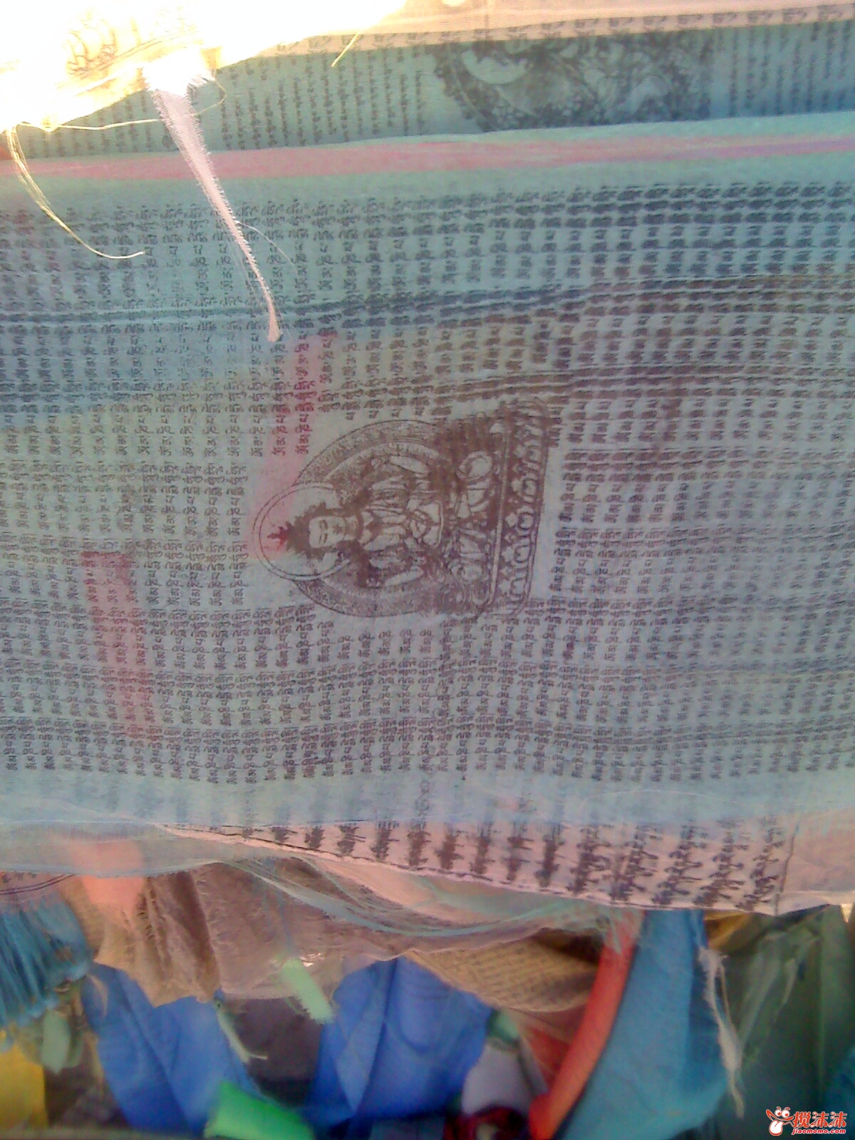 moto_0943.jpg