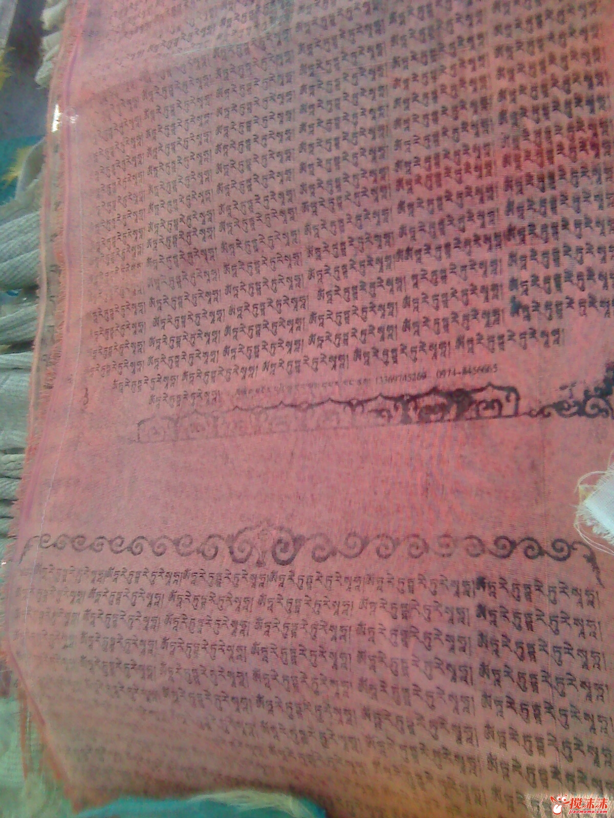 moto_0944.jpg