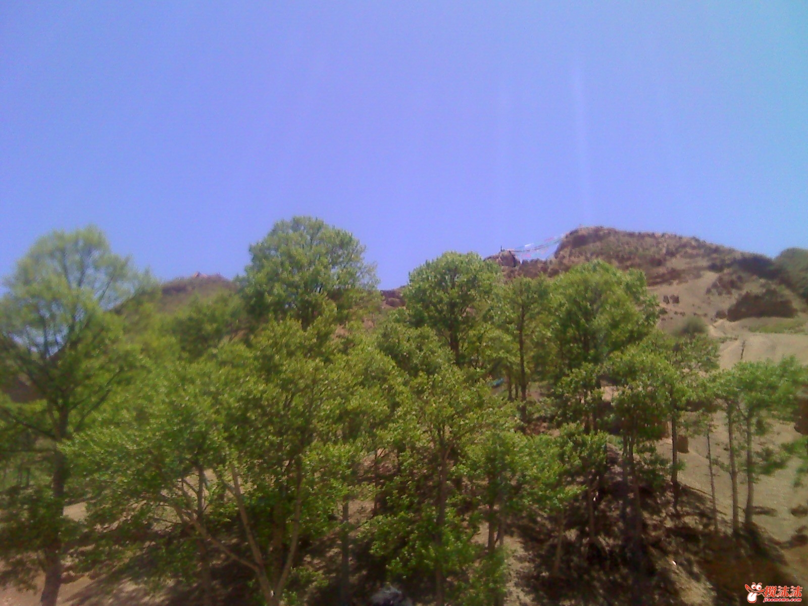 moto_0945.jpg