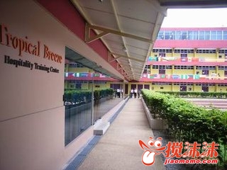 t01e2fca8b0a1a40a8c.jpg