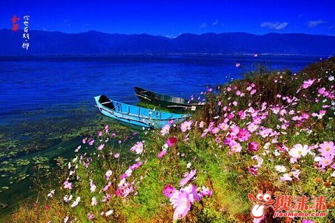 640 (20).jpg
