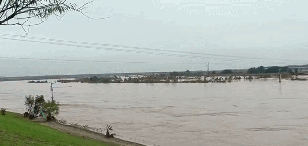 151608asfp68e6ftv8fs8w.gif