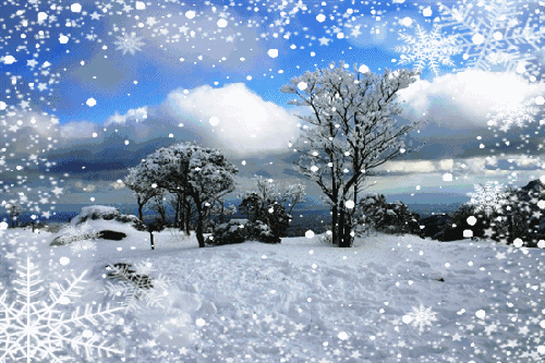141704wti6lnxrwr5a7drw.gif