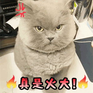 091707zpitnqqsz2cmqqdq.gif