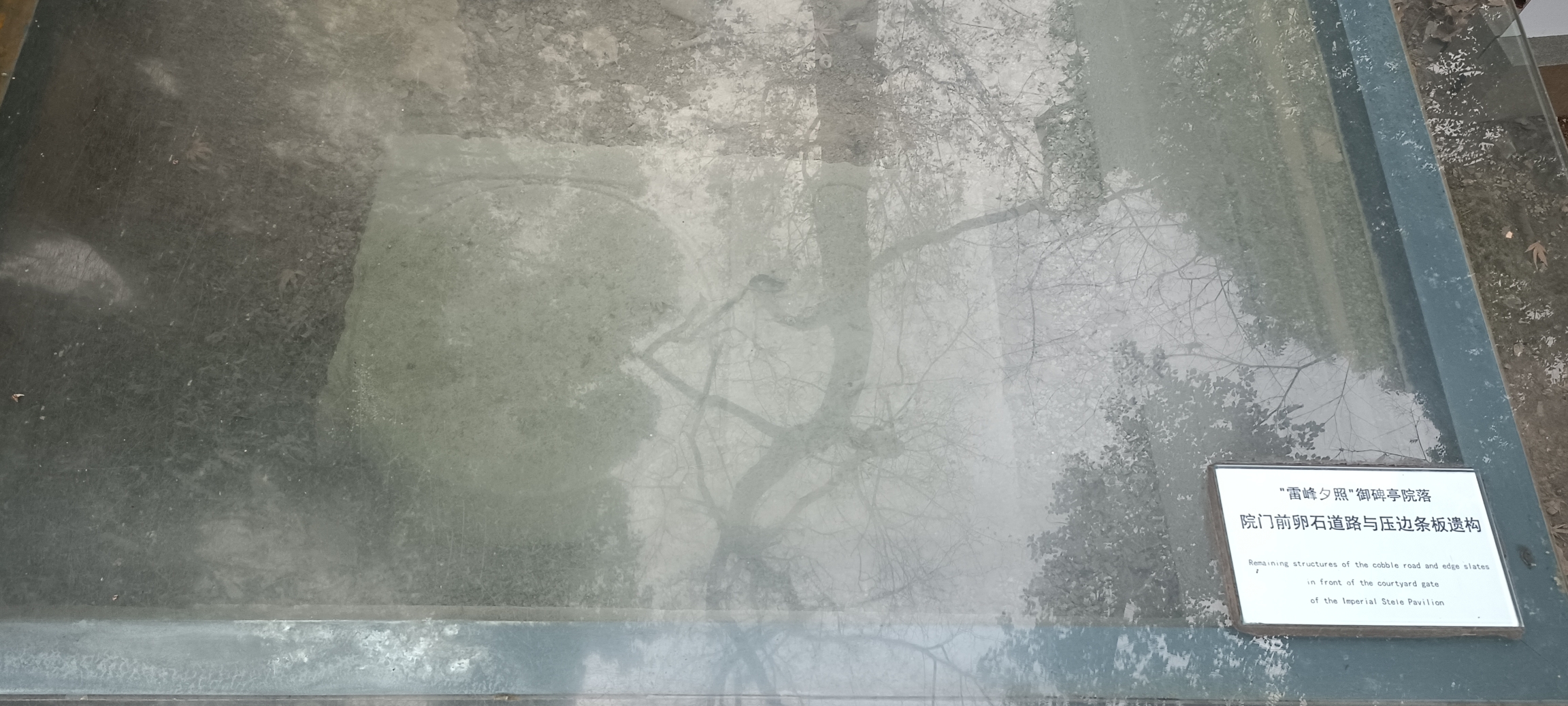 20230121165328front2_0_147571_FnhPK7gBI-kBSnpH1cbUPpDSE0WR.jpg