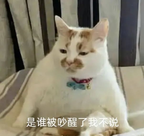 090524op5x5xnfn7rza7lz.jpeg