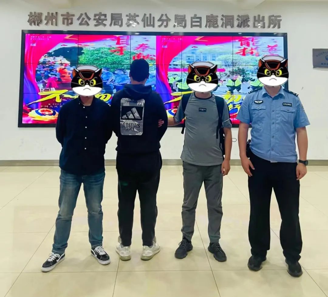 114526eco00ae39a90bww1.jpeg